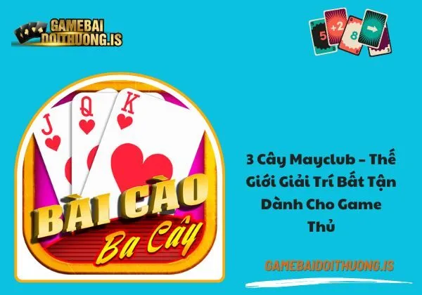 3 cây mayclub