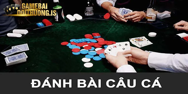 Hướng dẫn tính toán điểm số bài câu cá