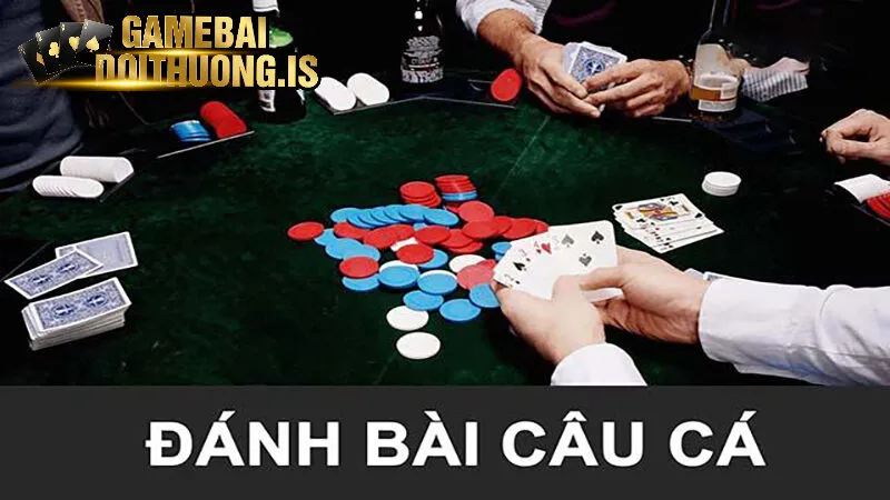 Các quy tắc chia bài khi chơi bài câu cá