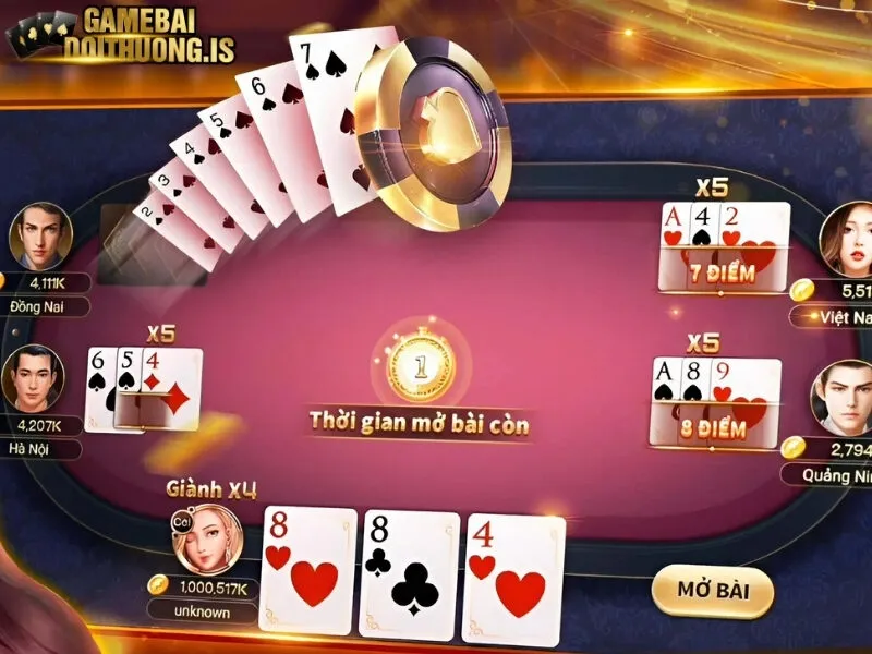 Bộ bài sử dụng khi chơi bài Tây 