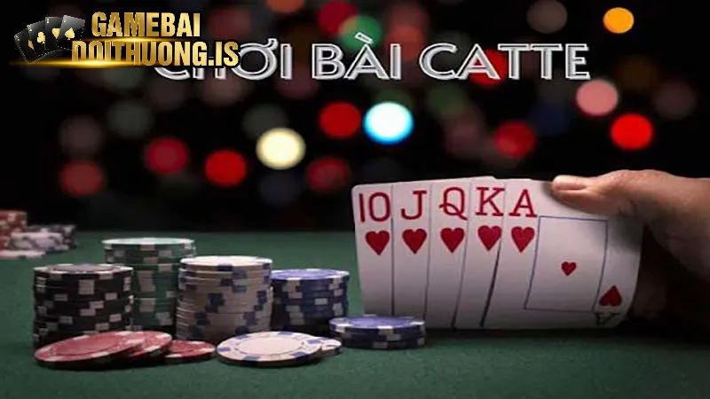 Một số quy tắc khi chơi bài Catte tại Nhatvip