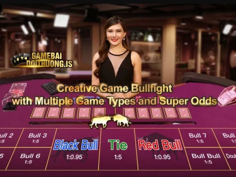 Hướng dẫn quy tắc chia bài cơ bản cho tân thủ