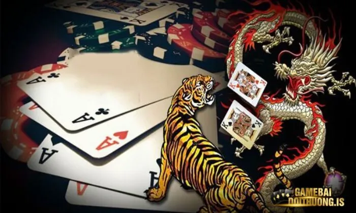 Các cửa cược chính trong trò chơi Rồng Hổ của Mayclub