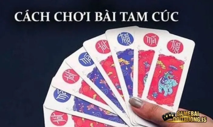 Bài Tam Cúc có cách chơi cực kì thú vị và hấp dẫn