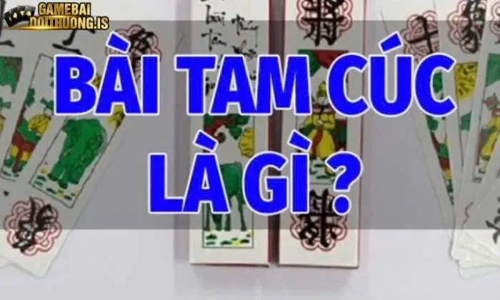 Đôi điều về Tam Cúc Mayclub